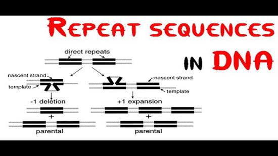 Lists all the repeats equal or longer than 9 bases