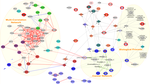 Graphical Identification of Cancer-Associated Gene Subnetworks Based on Small Proteomics Data Sets
